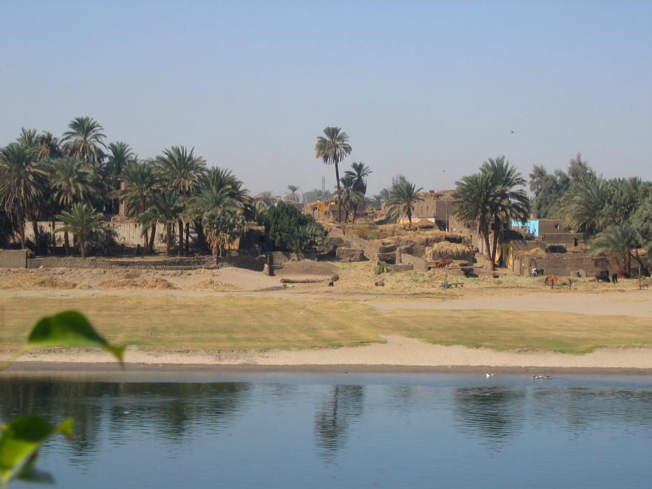 200402EgyJ5-0130