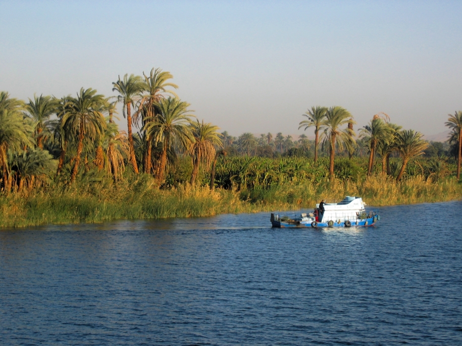 200402EgyJ5-0250