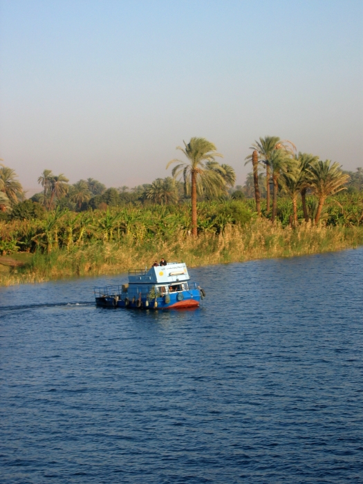 200402EgyJ5-0260