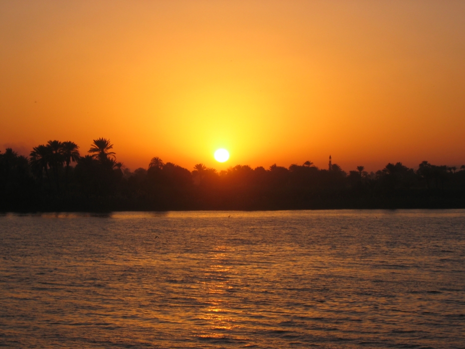 200402EgyJ5-0290