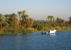 200402EgyJ5-0250 -