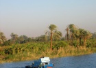 200402EgyJ5-0260 -