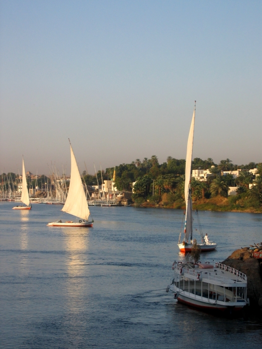 200402EgyJ6-0040