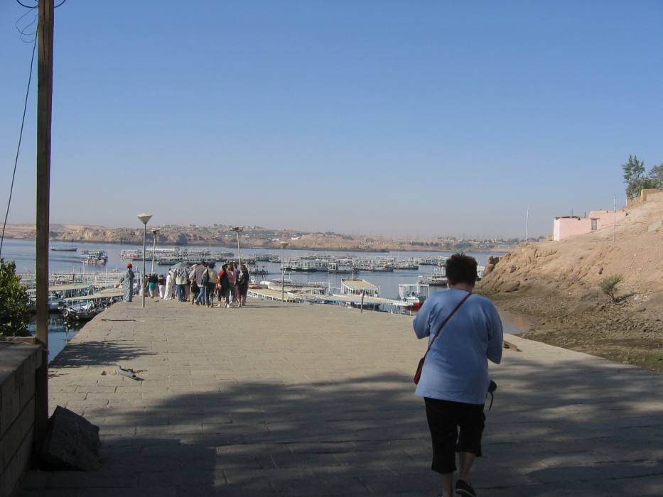 200402EgyJ6-0100