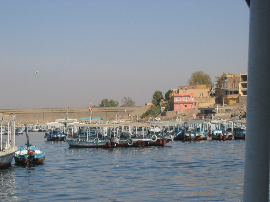 200402EgyJ6-0170