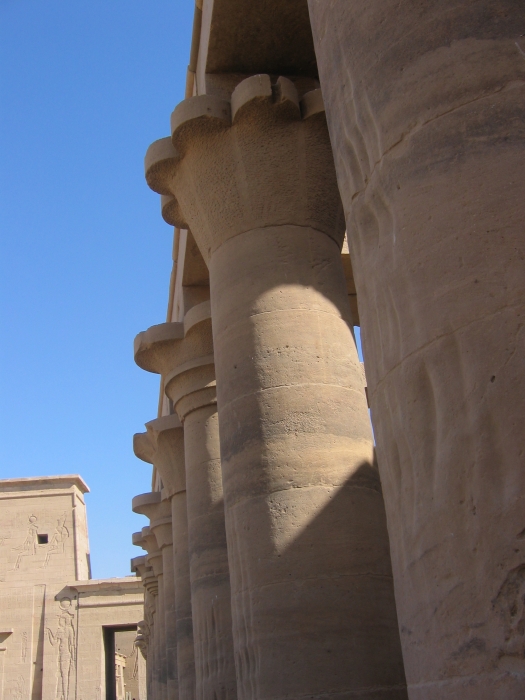 200402EgyJ6-0270