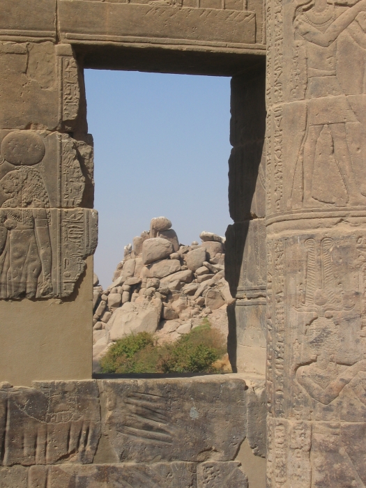 200402EgyJ6-0310