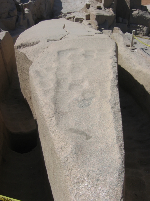 200402EgyJ6-0560