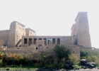 200402EgyJ6-0220 -