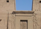 200402EgyJ6-0250 -