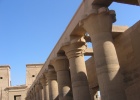 200402EgyJ6-0260 -
