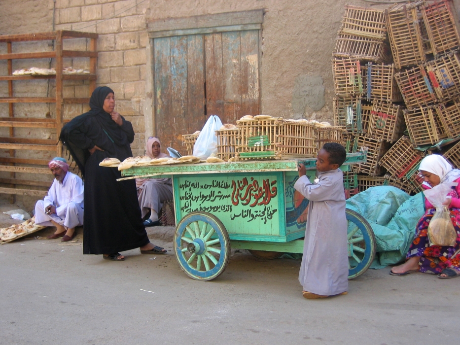 200402EgyJ8-0110