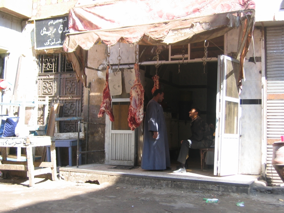 200402EgyJ8-0120