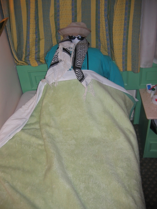 200402EgyBat-0310