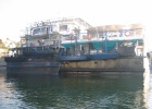200402EgyBat-0170 -