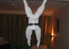 200402EgyBat-0300 -