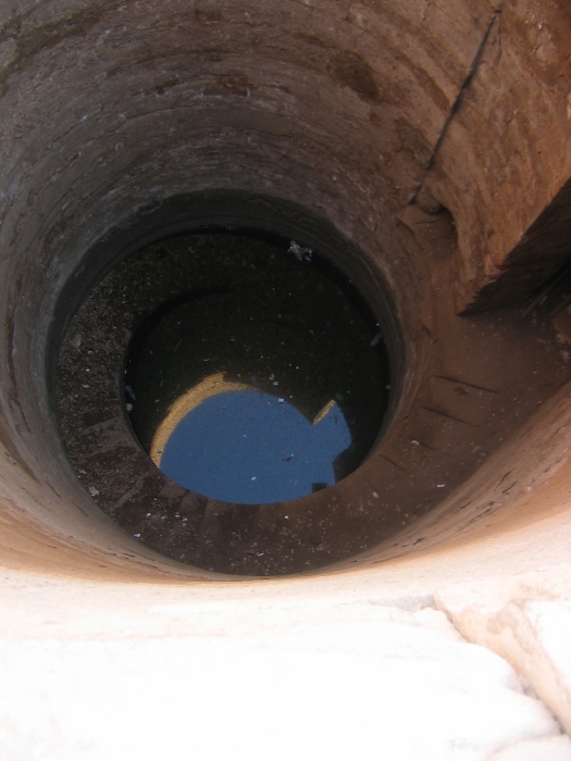 200402EgyOut-0070