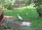 200402EgyOut-0260 -