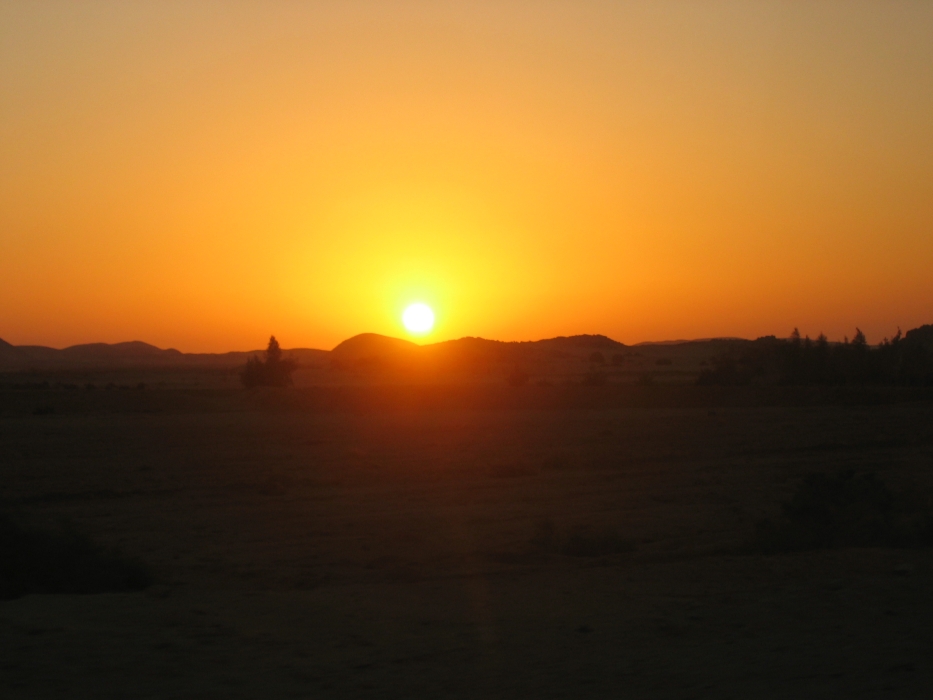 200402EgySol-0040