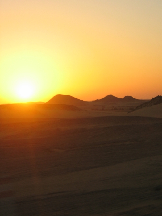 200402EgySol-0050