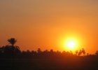200402EgySol-0100 -