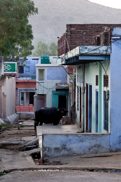 20110327-2111-p3.jpg - 27/03/2011-Patan (Inde)- Reportage dans le village
