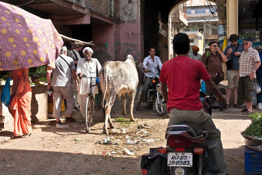 20110327-2720-p4.jpg - 27/03/2011-Bazar de Nawalgarh (Inde)