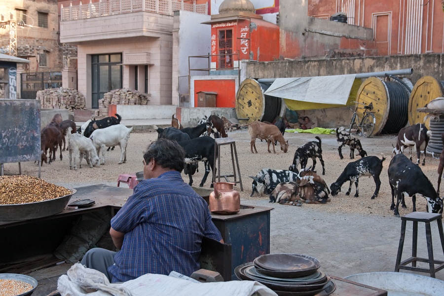 20110328 174625-D-IMG_3579_dxo_d.jpg - 28/03/2011-Jaipur (Inde)-La ville