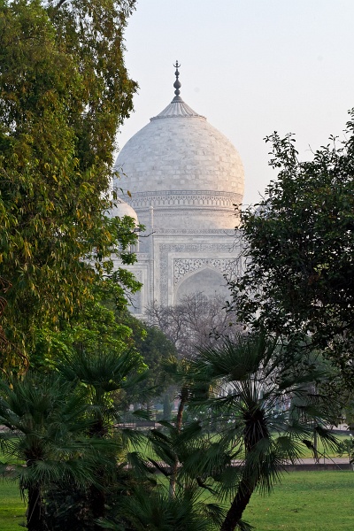 20110331-6222-p3.jpg - 31/03/2011-Agra (Inde)-Le Taj Mahal