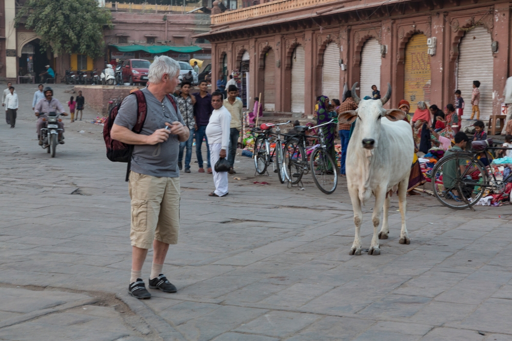 06/12/2015-Jodhpur(Inde)