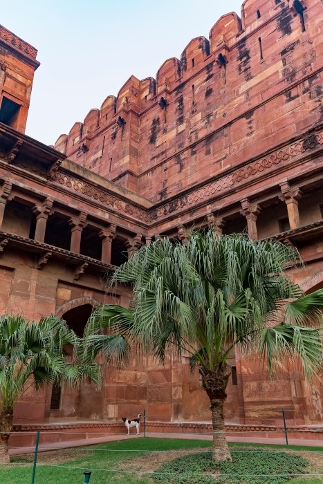10/12/2015-Aggra(Inde)-Fort Rouge