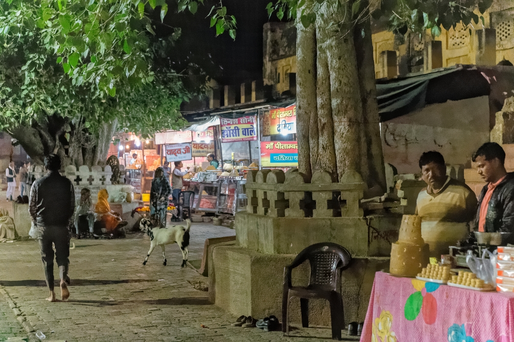 10/12/2015-Orchha(Inde)