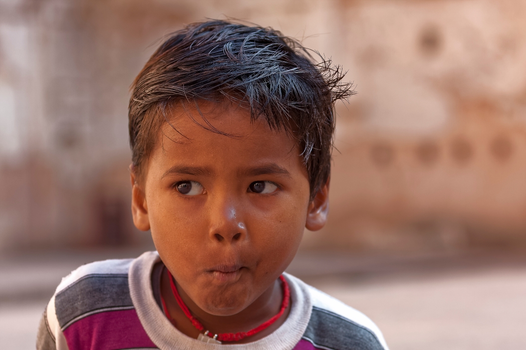 11/12/2015-Orchha(Inde)-La star du palais
