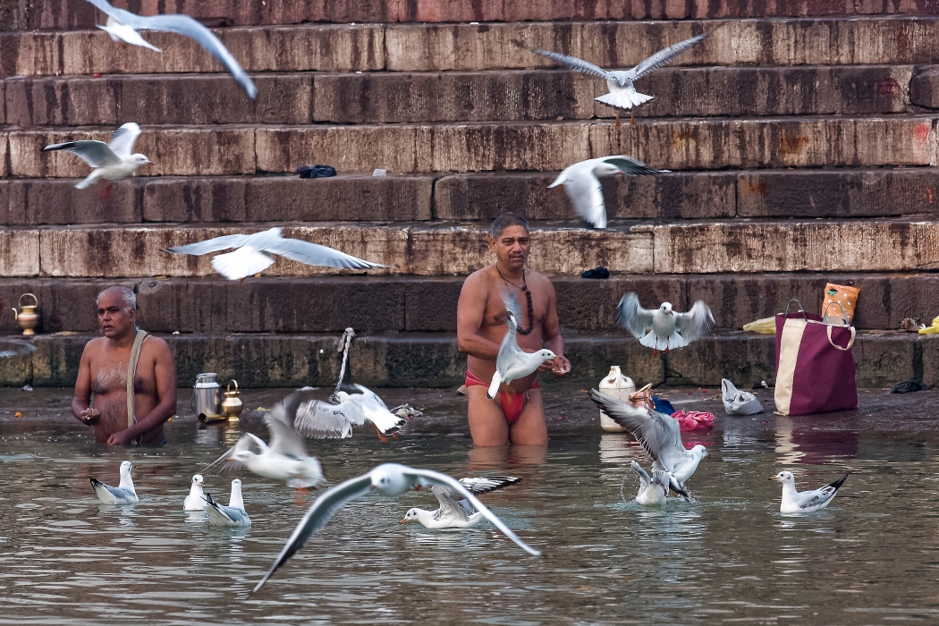 13/12/2015-Varanasi(Inde)