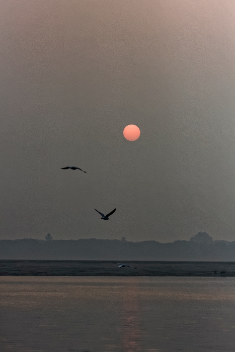 13/12/2015-Varanasi(Inde)