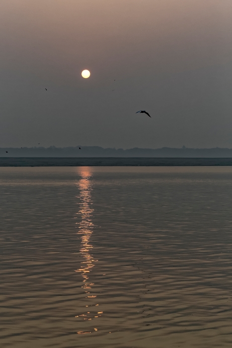 13/12/2015-Varanasi(Inde)