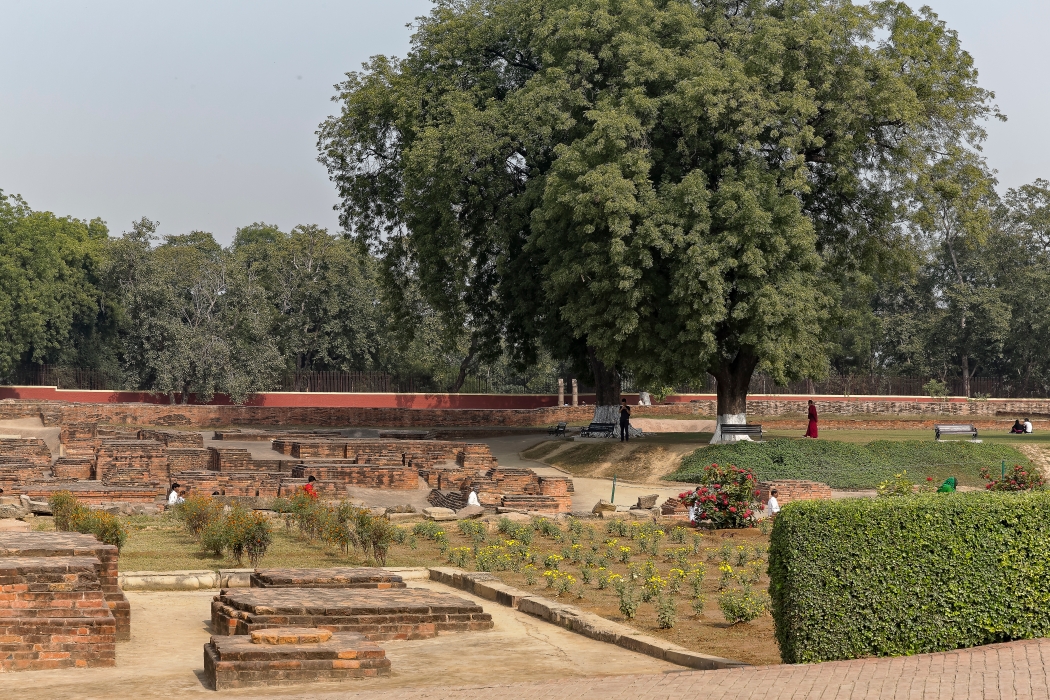 13/12/2015-Sarnath(Inde)