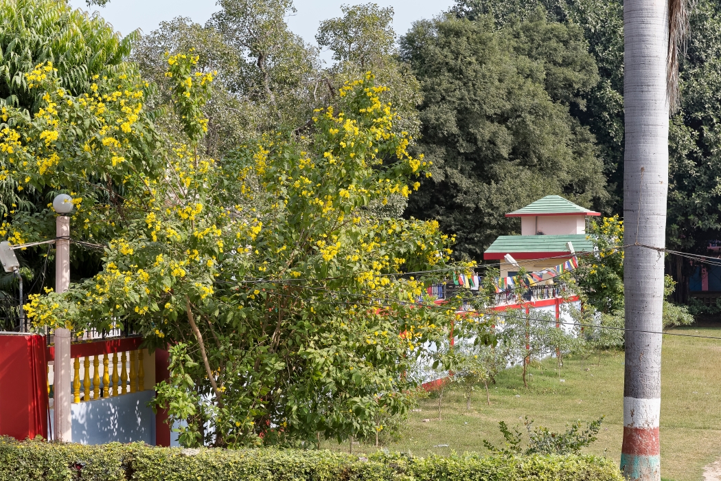 13/12/2015-Sarnath(Inde)