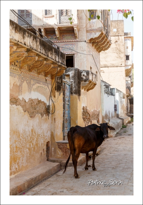 20151200-Inde-selection019-r-bs