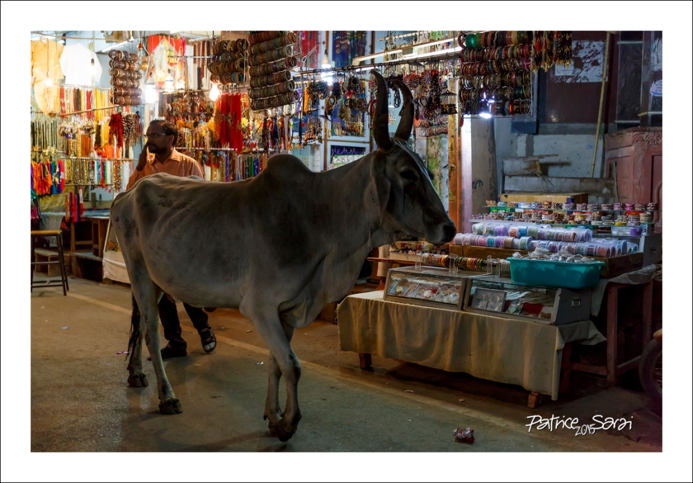 20151200-Inde-selection050-r-bs