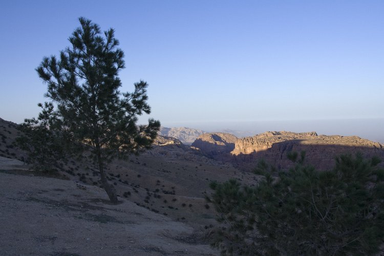 20080319-4004pe.jpg