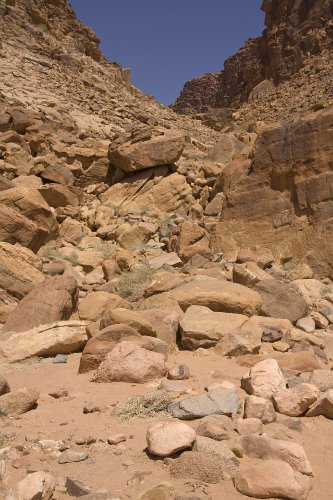 20080320-5025pe.jpg
