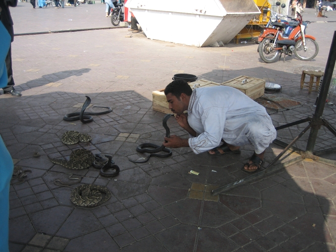 20071007-3530mc.JPG