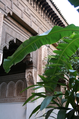 20071007-4217pe.JPG