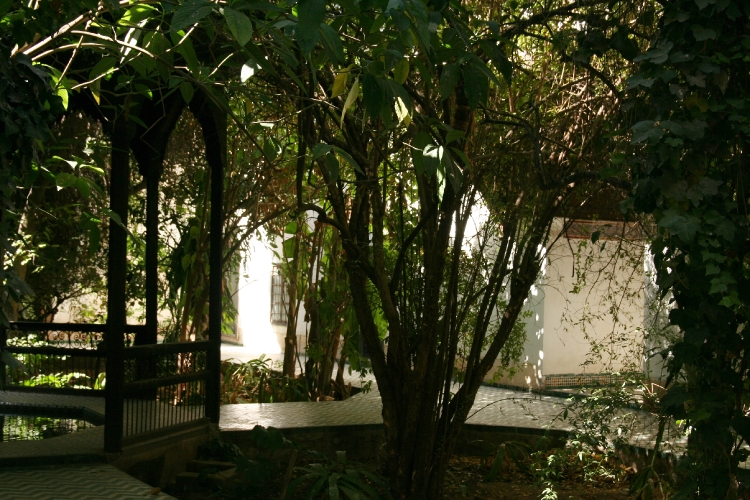 20071007-4422pe.JPG
