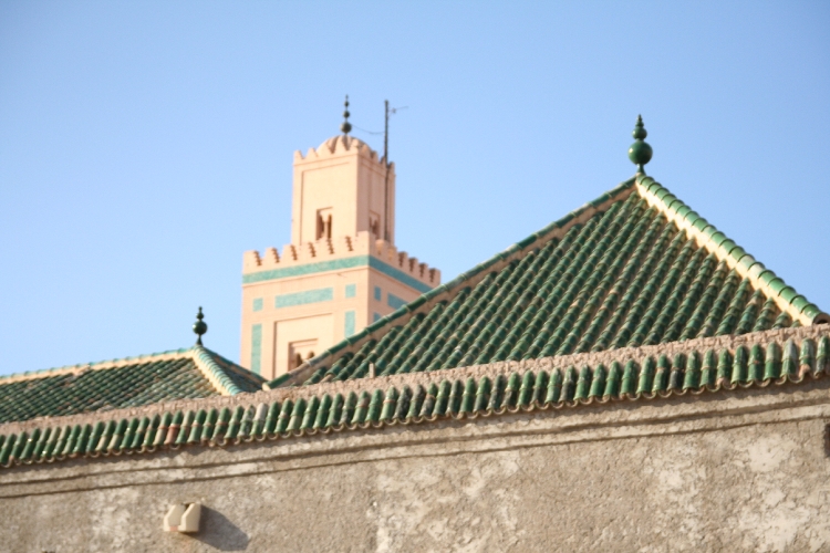 20071007-5011pe.JPG