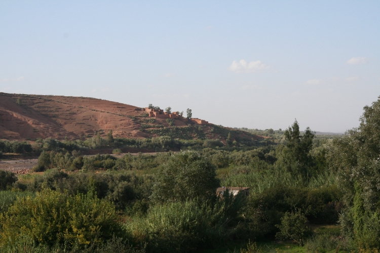 20071007-7084pe.JPG