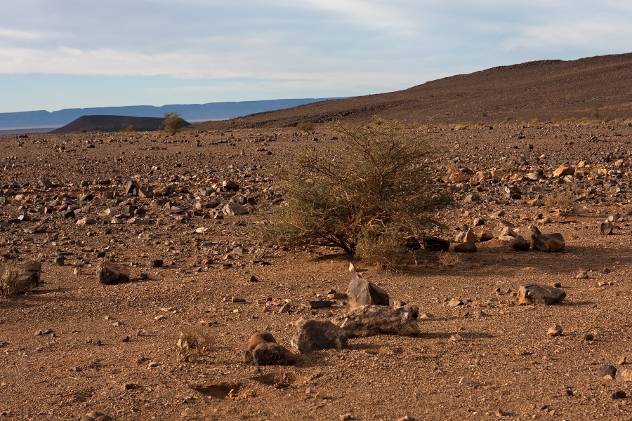 20111121-4015-p4.jpg - 21/11/2011-Zagora(Maroc)-Sur la route