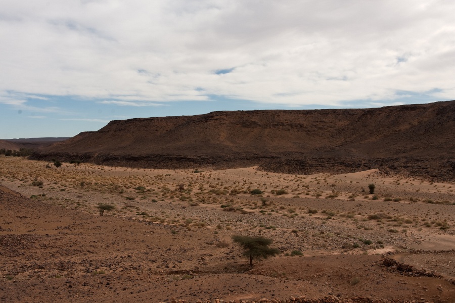 20111121-4032-p4.jpg - 21/11/2011-Zagora(Maroc)-Sur la route