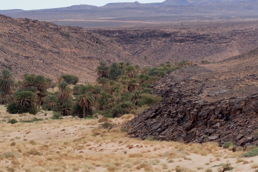 20111121-4039-p3.jpg - 21/11/2011-Zagora(Maroc)-Sur la route